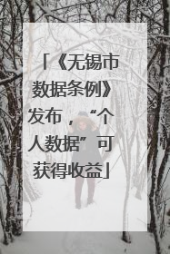 《无锡市数据条例》发布，“个人数据”可获得收益