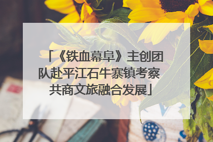 《铁血幕阜》主创团队赴平江石牛寨镇考察 共商文旅融合发展