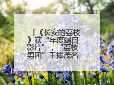 《长安的荔枝》获“年度瞩目影片”，“荔枝男团”手捧茂名荔枝走红毯