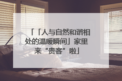 「人与自然和谐相处的温暖瞬间」家里来“贵客”啦