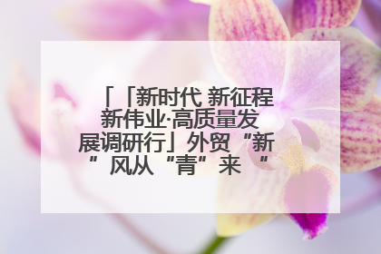「新时代 新征程 新伟业·高质量发展调研行」外贸“新”风从“青”来 “双向奔赴”启新程