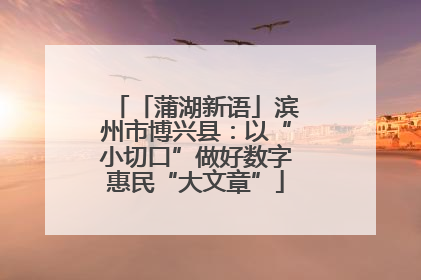「蒲湖新语」滨州市博兴县：以“小切口”做好数字惠民“大文章”