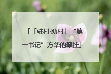 「驻村·助村」“第一书记”方华的牵挂
