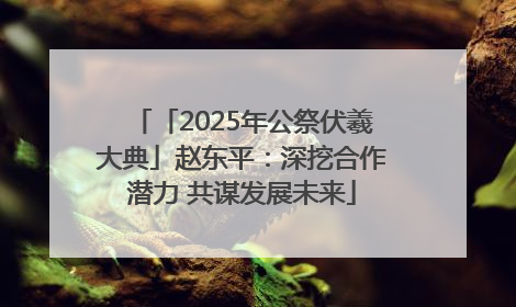 「2025年公祭伏羲大典」赵东平：深挖合作潜力 共谋发展未来