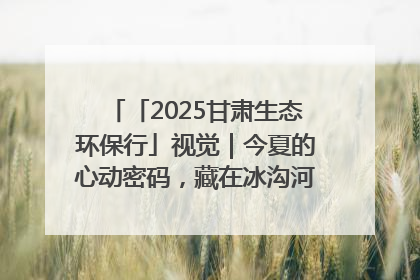 「2025甘肃生态环保行」视觉｜今夏的心动密码，藏在冰沟河的潋滟波光里