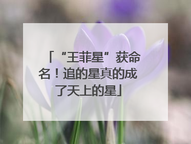 “王菲星”获命名！追的星真的成了天上的星