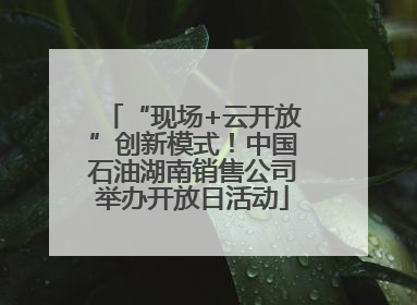 “现场+云开放”创新模式！中国石油湖南销售公司举办开放日活动