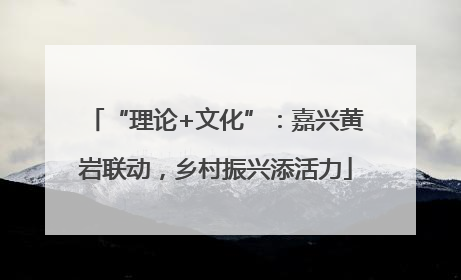 “理论+文化”：嘉兴黄岩联动，乡村振兴添活力