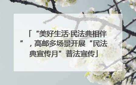 “美好生活·民法典相伴”，高邮多场景开展“民法典宣传月”普法宣传