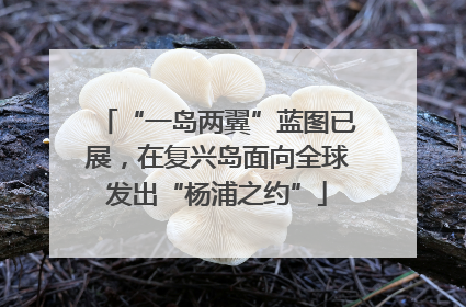 “一岛两翼”蓝图已展，在复兴岛面向全球发出“杨浦之约”