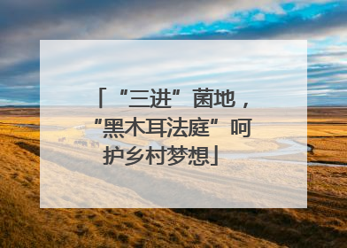 “三进”菌地，“黑木耳法庭”呵护乡村梦想