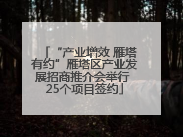 “产业增效 雁塔有约”雁塔区产业发展招商推介会举行 25个项目签约
