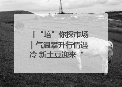 “培”你探市场｜气温攀升行情遇冷 新土豆迎来“熊市”？