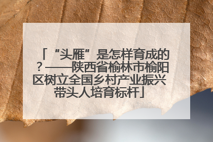 “头雁”是怎样育成的？——陕西省榆林市榆阳区树立全国乡村产业振兴带头人培育标杆