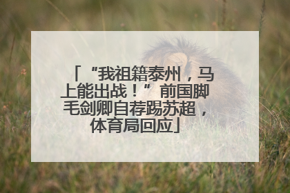 “我祖籍泰州，马上能出战！”前国脚毛剑卿自荐踢苏超，体育局回应