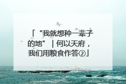 “我就想种一辈子的地”｜何以天府，我们用粮食作答②