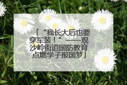 “我长大后也要穿军装！”——观沙岭街道国防教育点燃学子报国梦