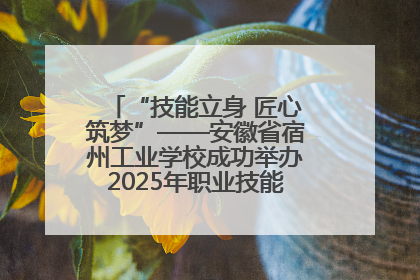 “技能立身 匠心筑梦”——安徽省宿州工业学校成功举办2025年职业技能活动周各项活动