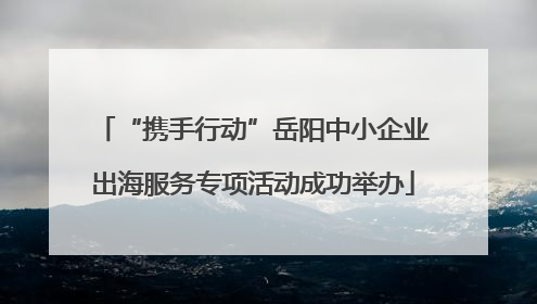 “携手行动”岳阳中小企业出海服务专项活动成功举办