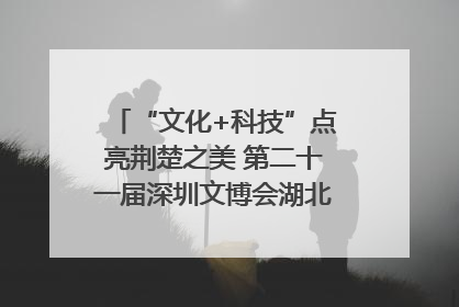 “文化+科技”点亮荆楚之美 第二十一届深圳文博会湖北馆抢“鲜”看