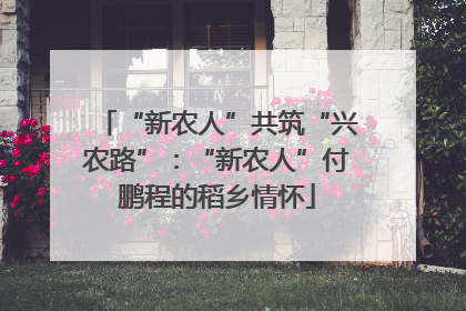 “新农人”共筑“兴农路”：“新农人”付鹏程的稻乡情怀