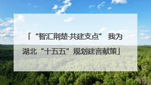 “智汇荆楚·共建支点” 我为湖北“十五五”规划建言献策