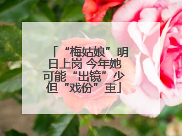 “梅姑娘”明日上岗 今年她可能“出镜”少但“戏份”重