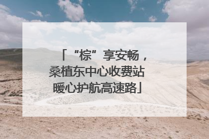 “棕”享安畅，桑植东中心收费站暖心护航高速路