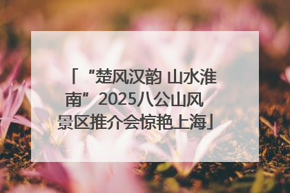 “楚风汉韵 山水淮南”2025八公山风景区推介会惊艳上海