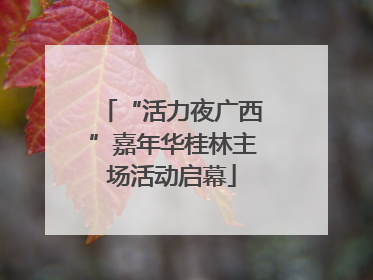 “活力夜广西”嘉年华桂林主场活动启幕