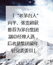 “老茅台人”向平、张贵超获推荐为茅台集团副总经理人选，后者是集团最年轻党委委员
