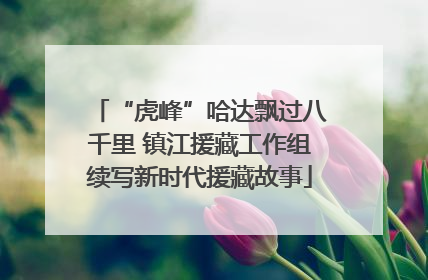 “虎峰”哈达飘过八千里 镇江援藏工作组续写新时代援藏故事