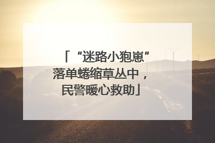 “迷路小狍崽”落单蜷缩草丛中，民警暖心救助