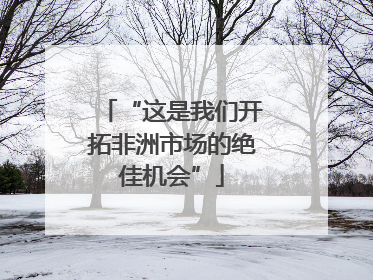 “这是我们开拓非洲市场的绝佳机会”