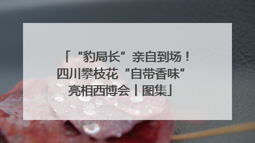 “豹局长”亲自到场！四川攀枝花“自带香味”亮相西博会丨图集
