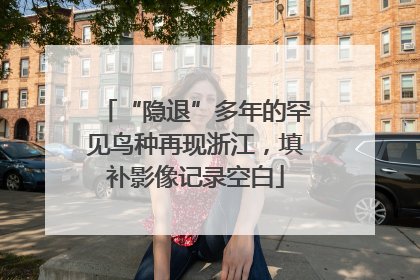 “隐退”多年的罕见鸟种再现浙江，填补影像记录空白