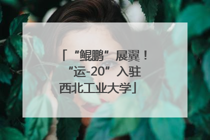“鲲鹏”展翼！“运-20”入驻西北工业大学