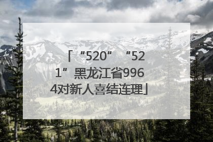 “520”“521”黑龙江省9964对新人喜结连理