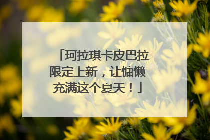 珂拉琪卡皮巴拉限定上新，让慵懒充满这个夏天！