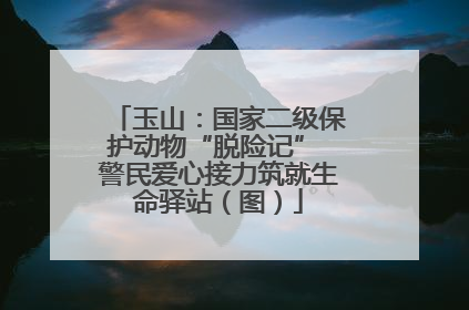 玉山：国家二级保护动物“脱险记” 警民爱心接力筑就生命驿站（图）