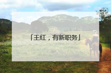 王红，有新职务