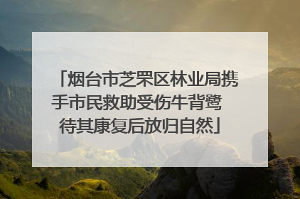 烟台市芝罘区林业局携手市民救助受伤牛背鹭 待其康复后放归自然