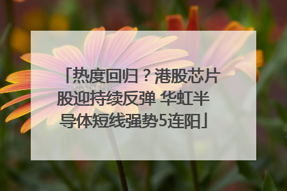 热度回归？港股芯片股迎持续反弹 华虹半导体短线强势5连阳