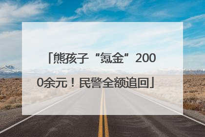 熊孩子“氪金”2000余元！民警全额追回
