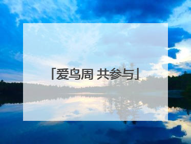 爱鸟周 共参与