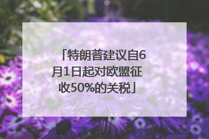 特朗普建议自6月1日起对欧盟征收50%的关税