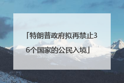 特朗普政府拟再禁止36个国家的公民入境