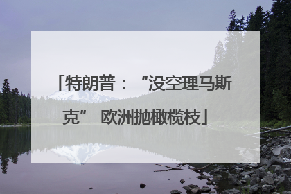 特朗普：“没空理马斯克” 欧洲抛橄榄枝