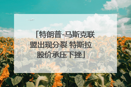 特朗普-马斯克联盟出现分裂 特斯拉股价承压下挫