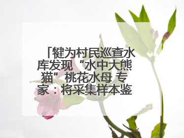 犍为村民巡查水库发现“水中大熊猫”桃花水母 专家：将采集样本鉴定具体种属